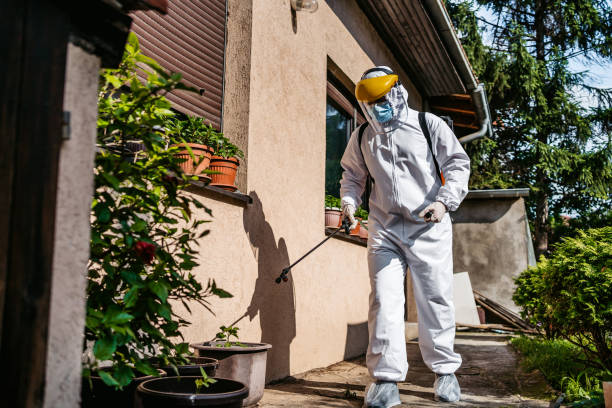 Best Termite Control Services  in Mill City, OR